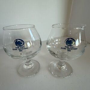 Penn State Diving Invitational Glasses